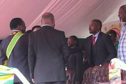 chamisa mnangagwa