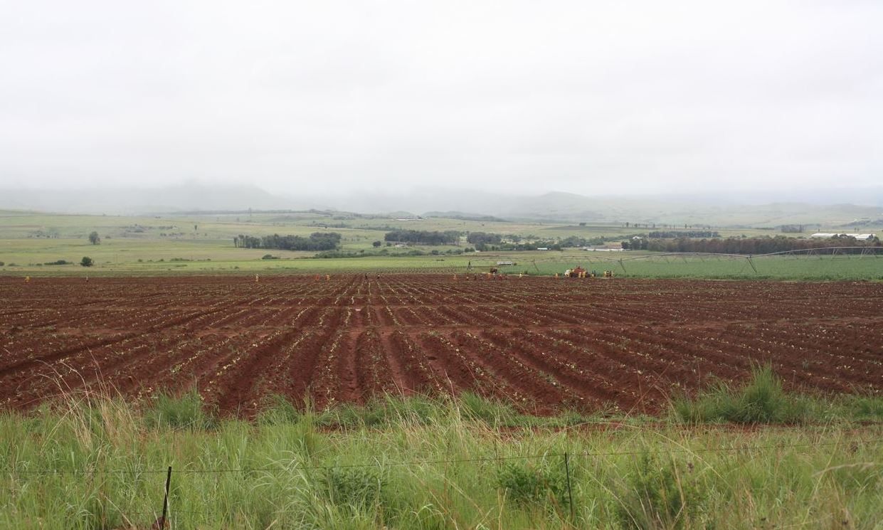 SA Land Debate