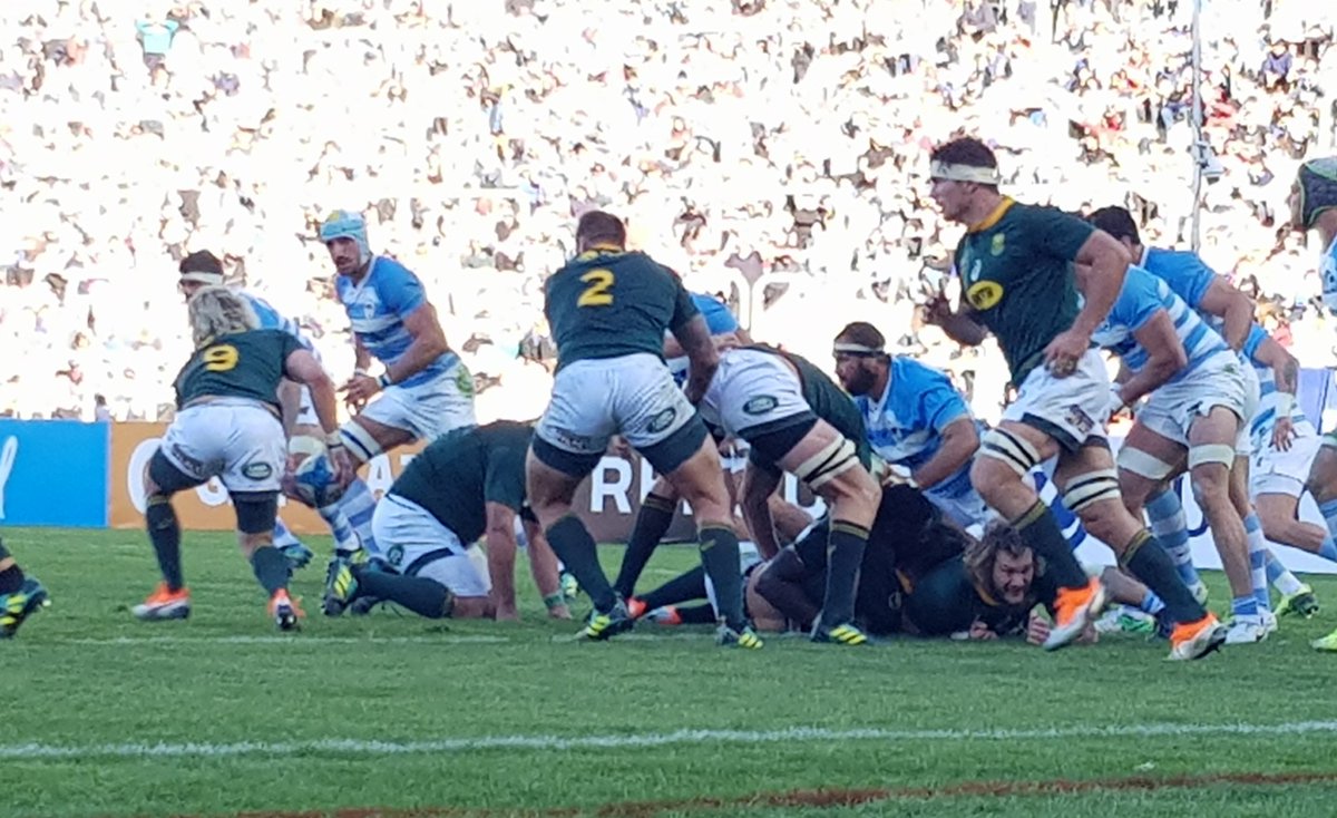 Springboks