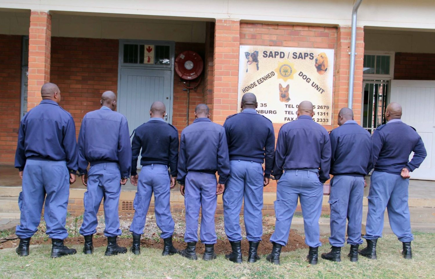 Eight Gauteng cops