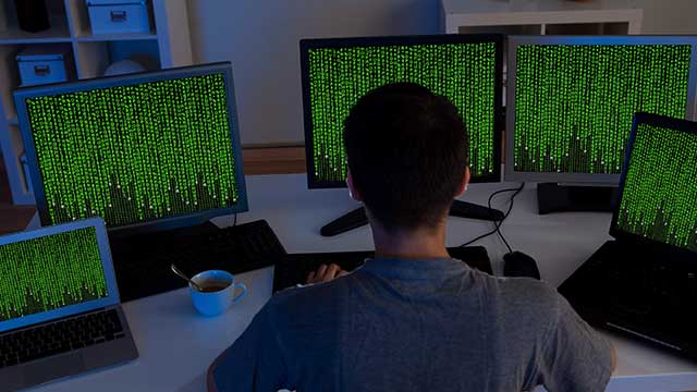 Junior Programmer Wanted