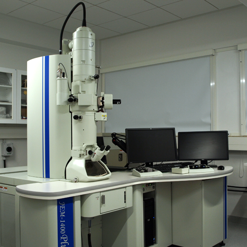 Electron Microscopy
