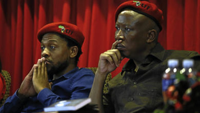 Julius Malema and Mbuyiseni Ndlozi