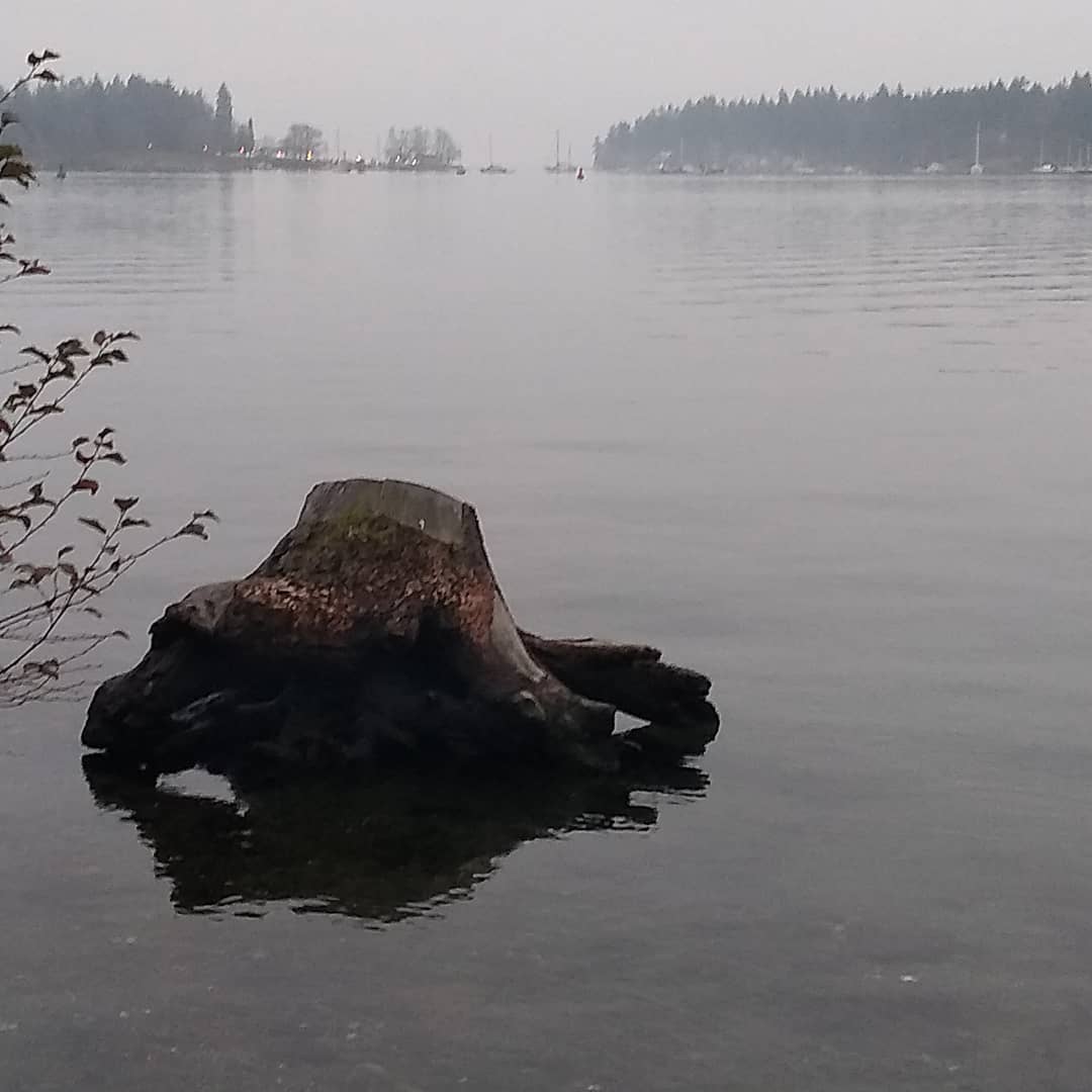 Flood