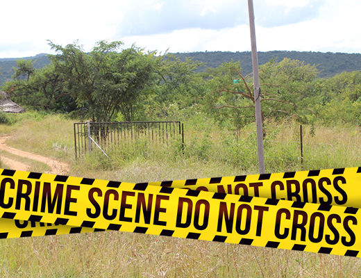 farm attack