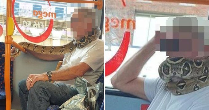 Drama as man uses Snake as face mask in the bus