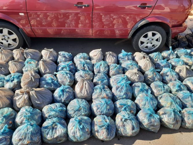 Grabouw police seize crayfish worth R6.5 million