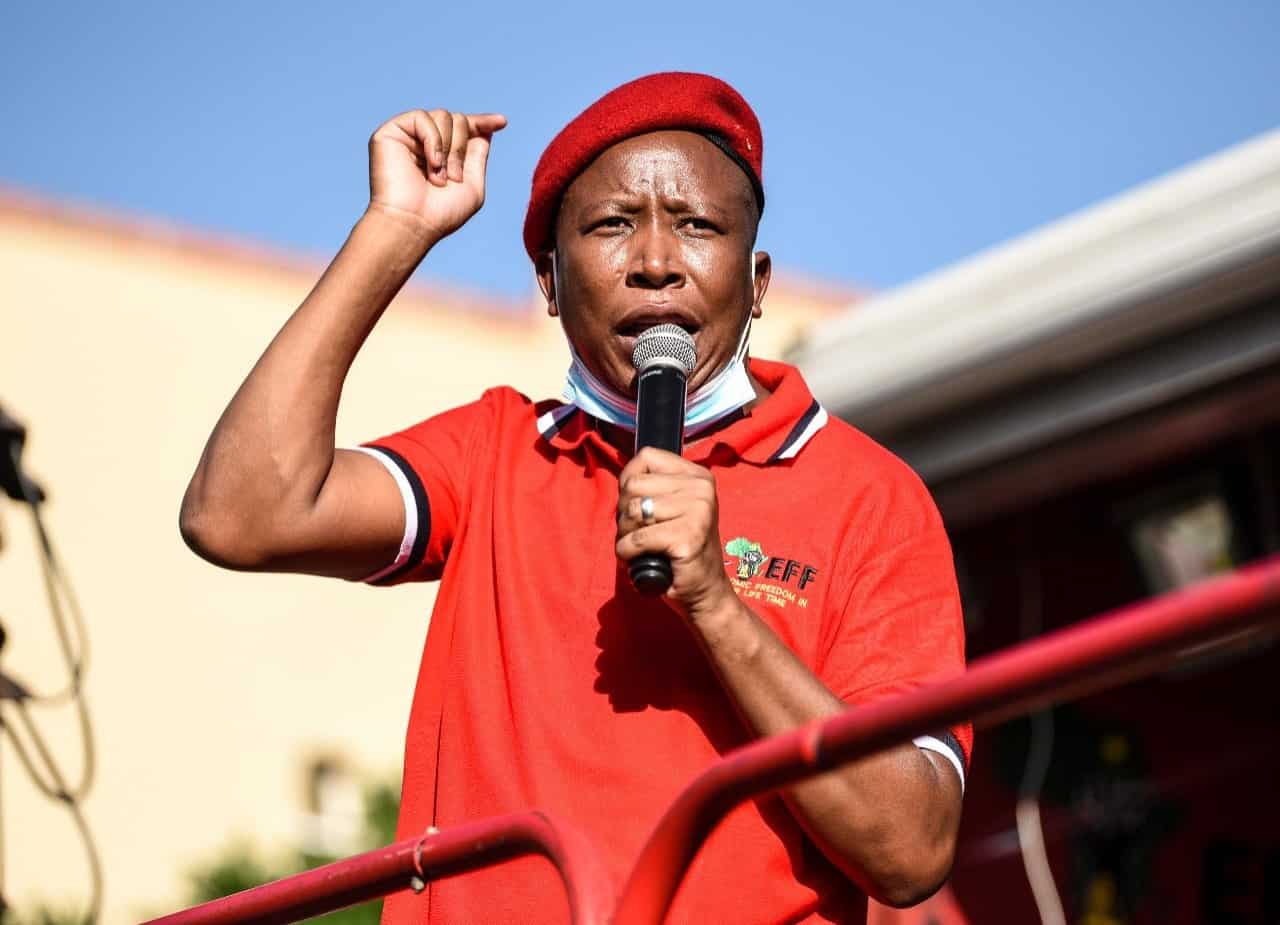 Julius Malema