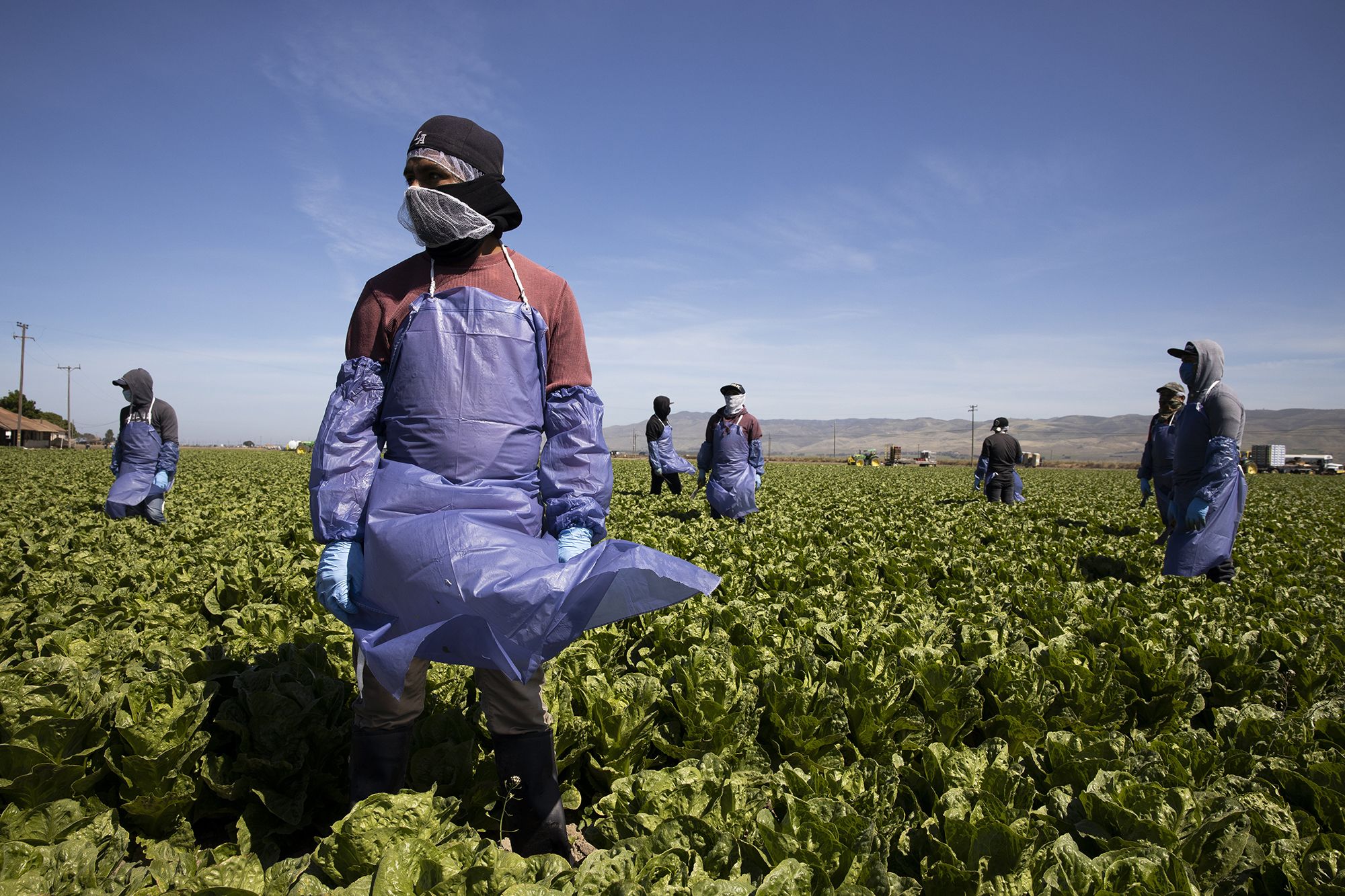 Farmworkers lay assault charge