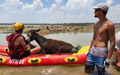 NSRI rescues donkey stranded on island on Vaal Dam