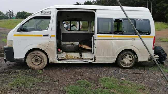 Drama as suspects being pursued by police throw stolen cows out of a moving taxi