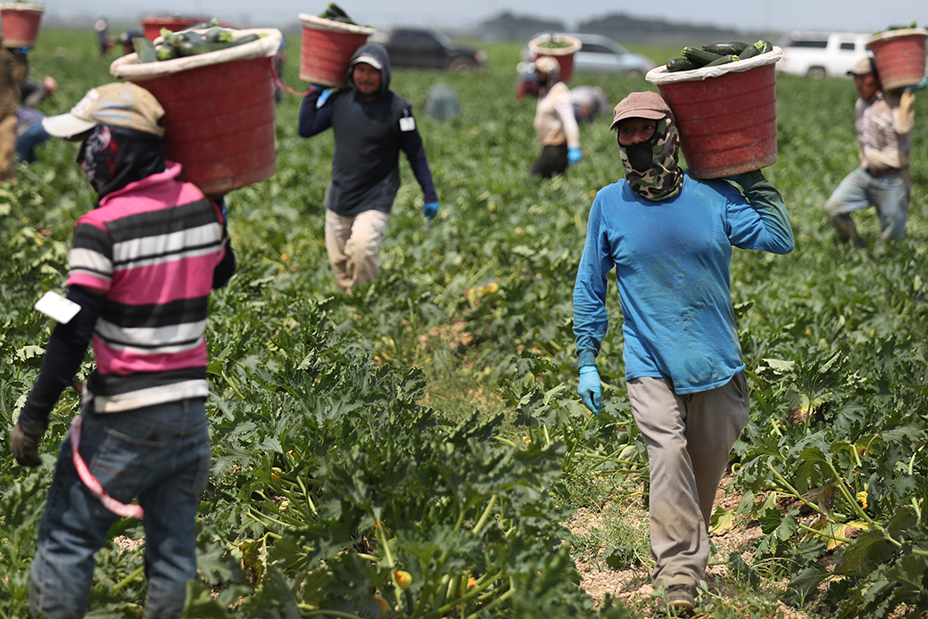 Farmworkers raise concerns