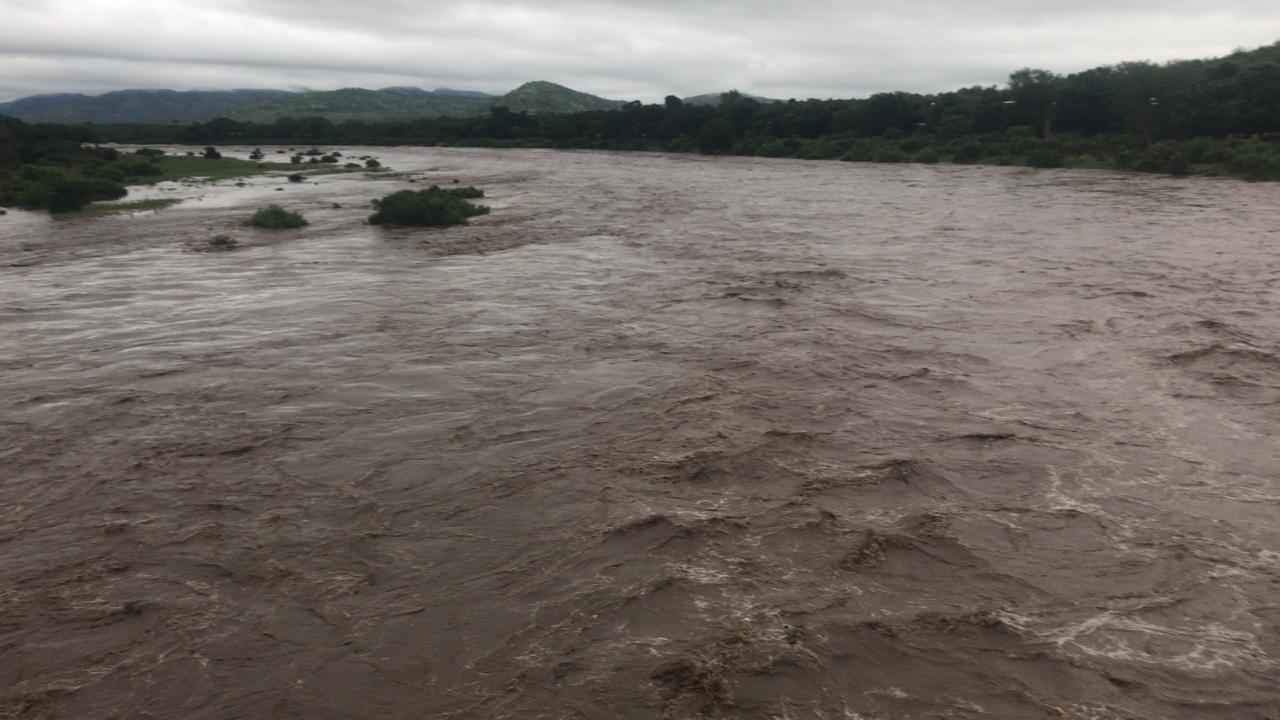 Kruger Park on high alert as heavy rains trigger flooding and road closures