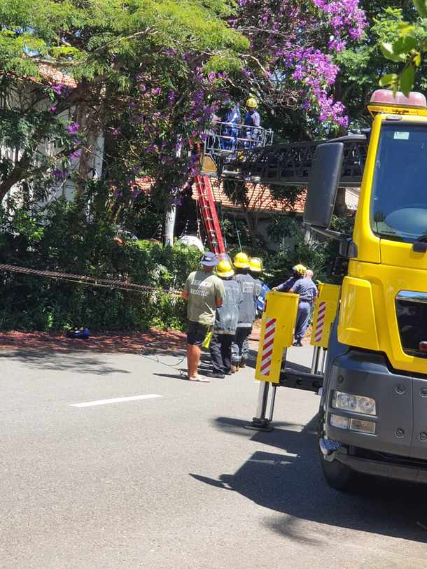 Durban worker electrocuted while working on light pole