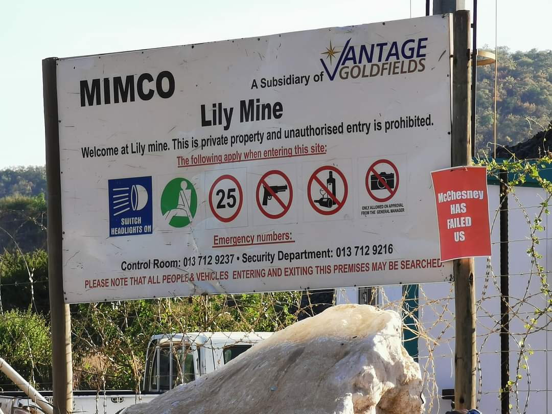 Lily Mine