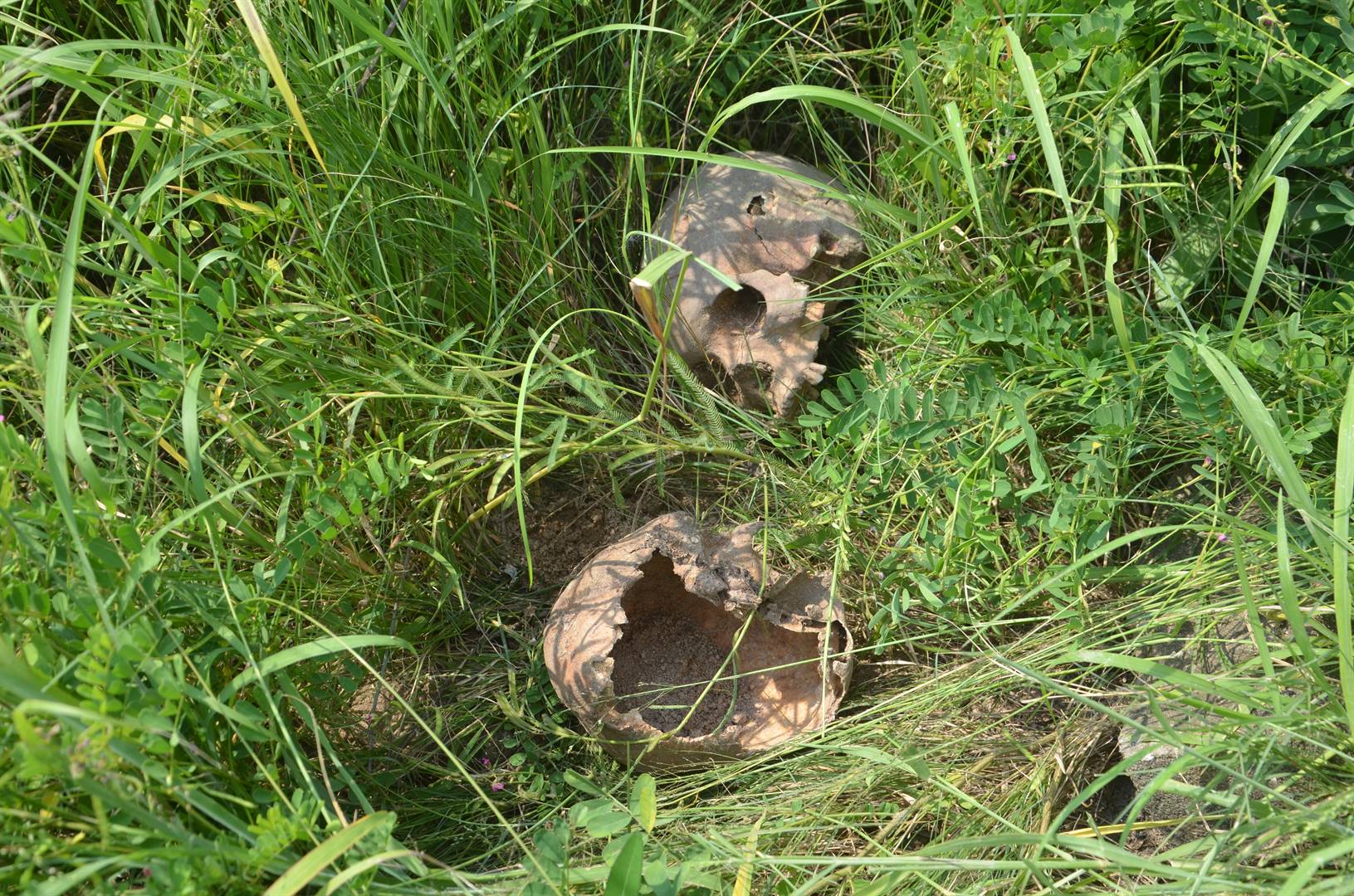 Shock as 2 different families discover human remains while digging new graves for their dead members