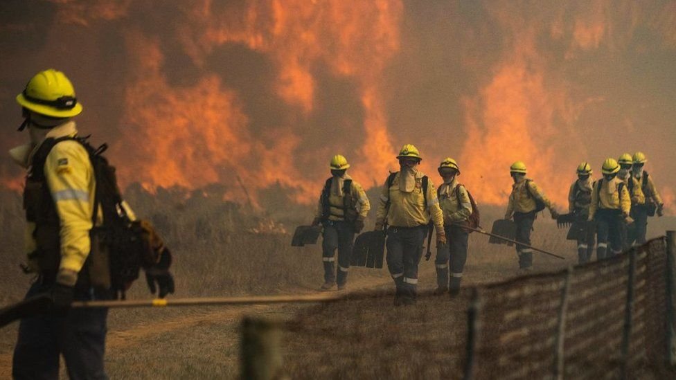 Cape Town firefighters