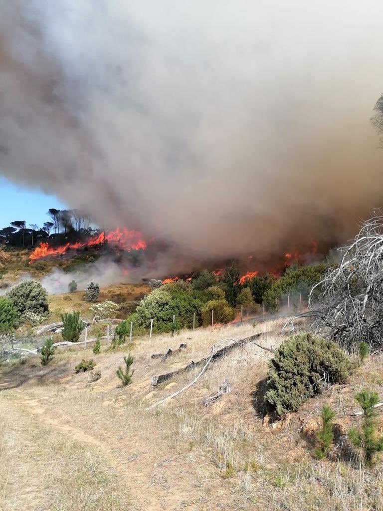 Hikers urgently evacuated after Rhodes Memorial restaurant fire