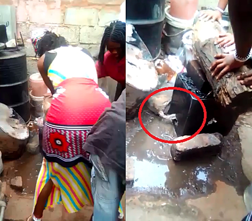 Video of angry Tokoloshe swearing at sangomas after they trapped it goes viral
