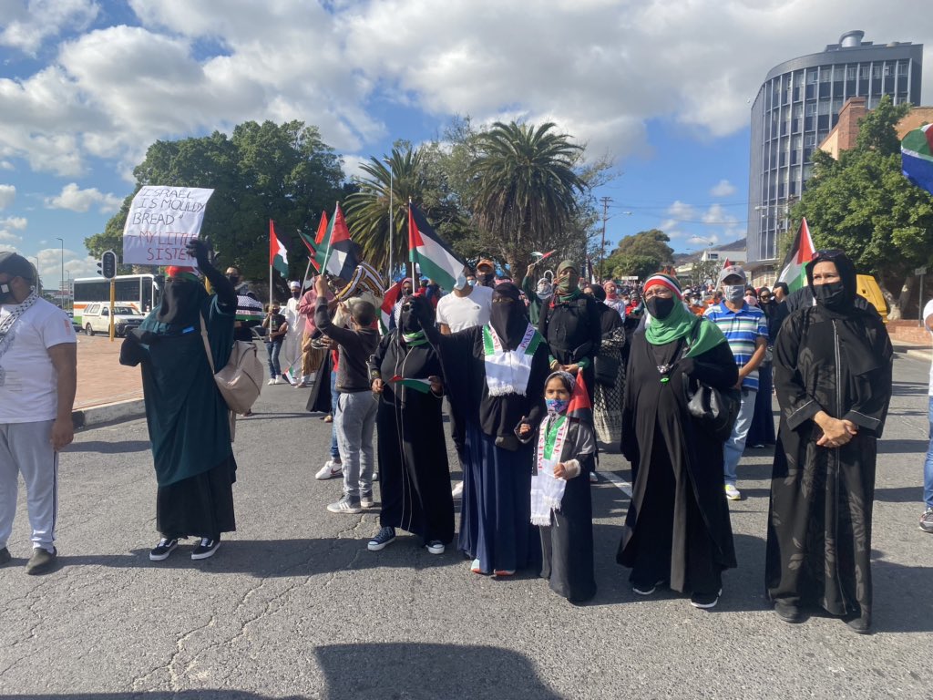 Palestine protestors