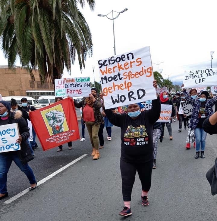 Western Cape farmworkers air grievances with labour minister over UIF access