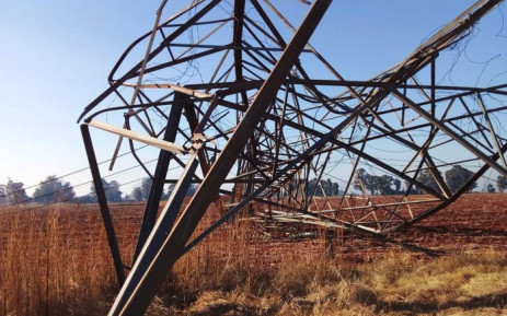 The collapsed pylon in Nigel, southeast of Johannesburg
