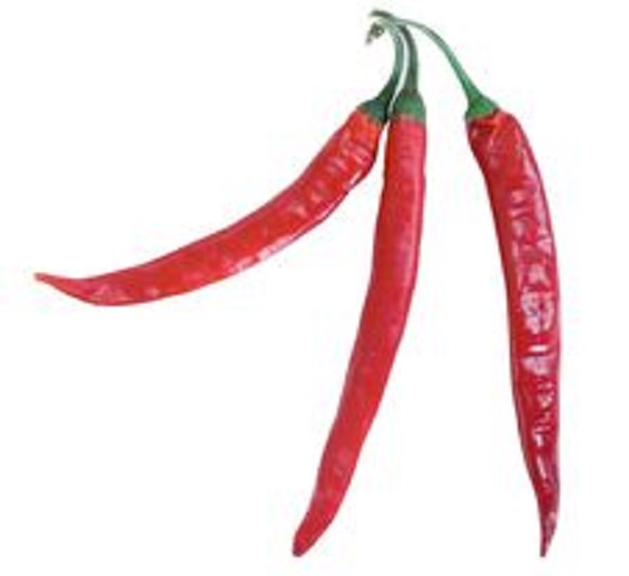 chilly pepper