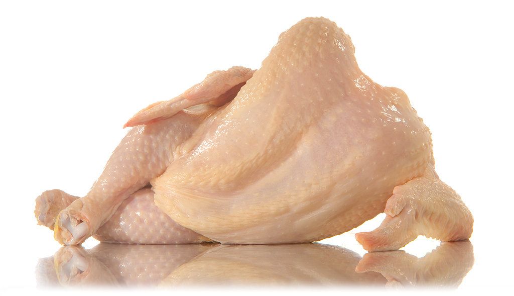 chicken