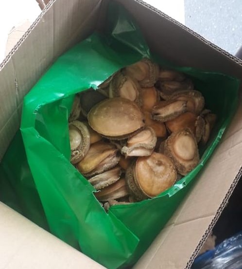 2 due in Cape Town court after R2 million abalone bust