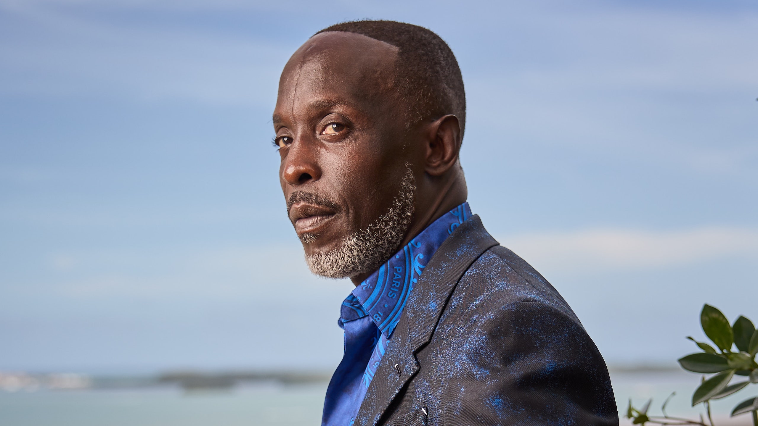 Michael K. Williams