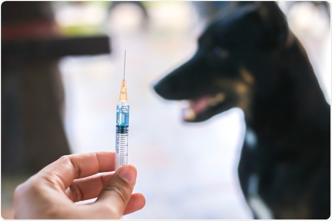 Rabies vaccine