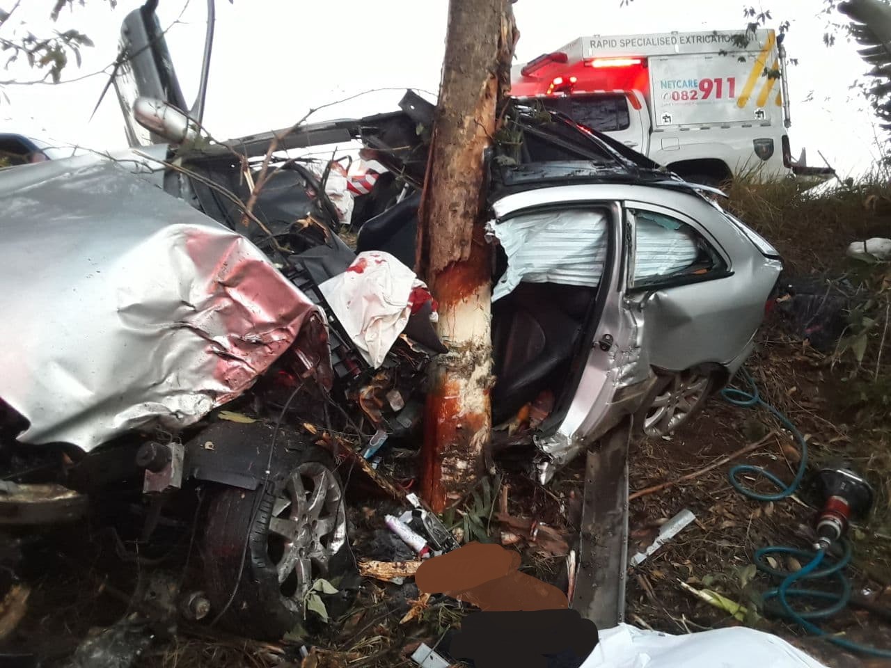 car vs tree collision