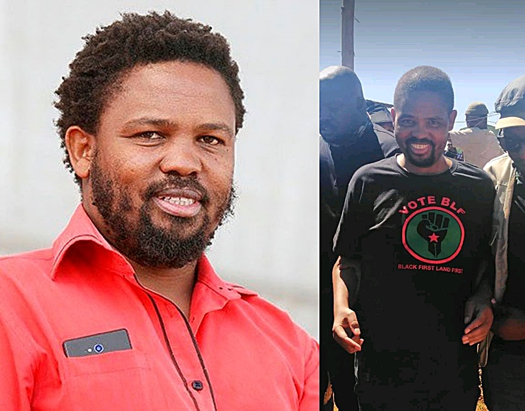 Andile Mngxitama