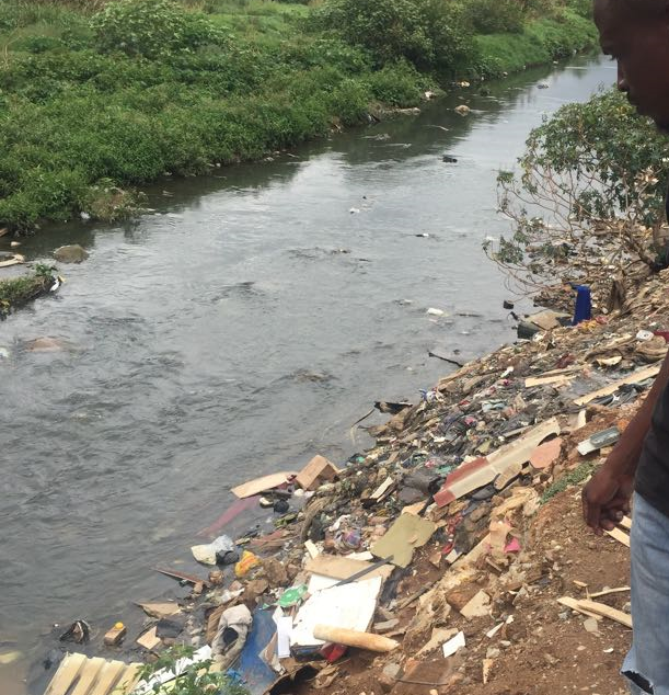 Jukskei River in Alexandra
