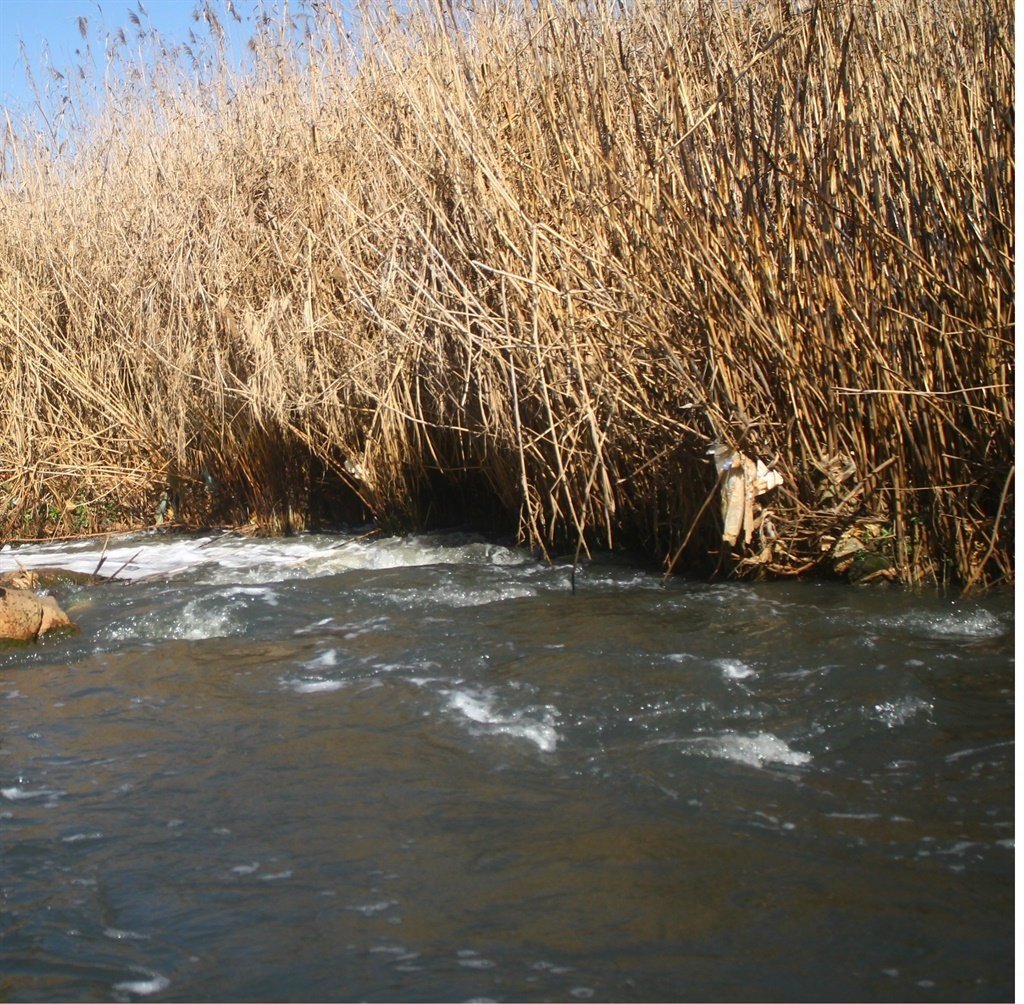 RIVER river
