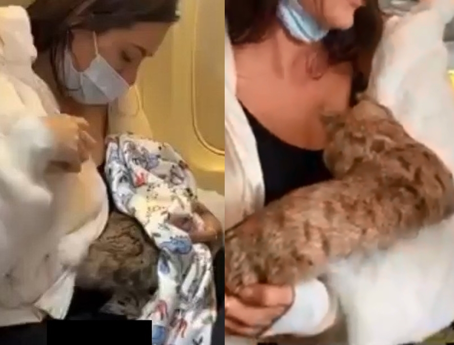 Shock as woman caught breastfeeding a cat on a flight