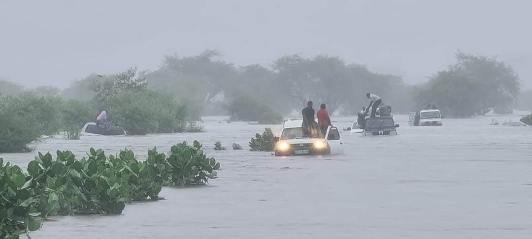 Death toll from tropical storm