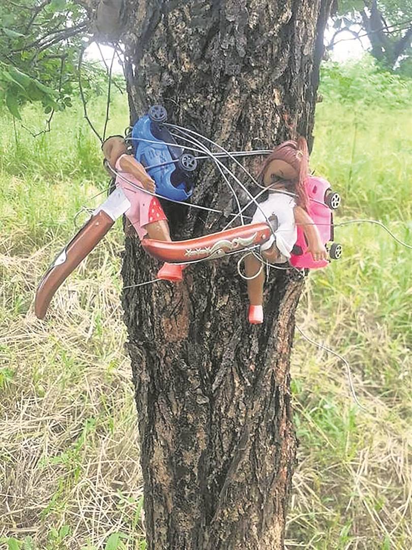 Shocking tree muthi ritual