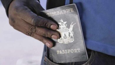 Zimbabwean Exemption Permits (ZEP) passport