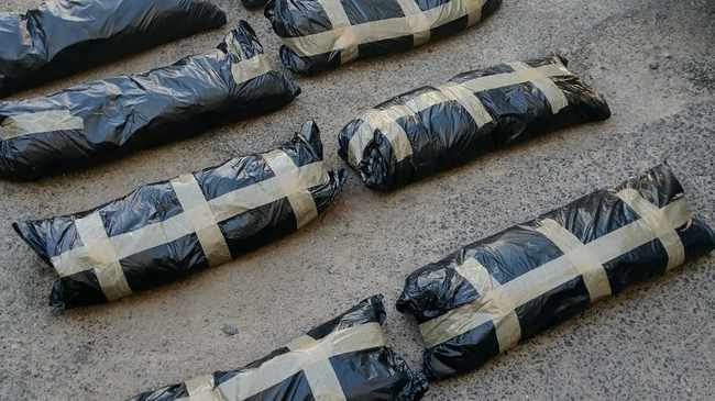 Couple bust for drugs worth R1.4 million