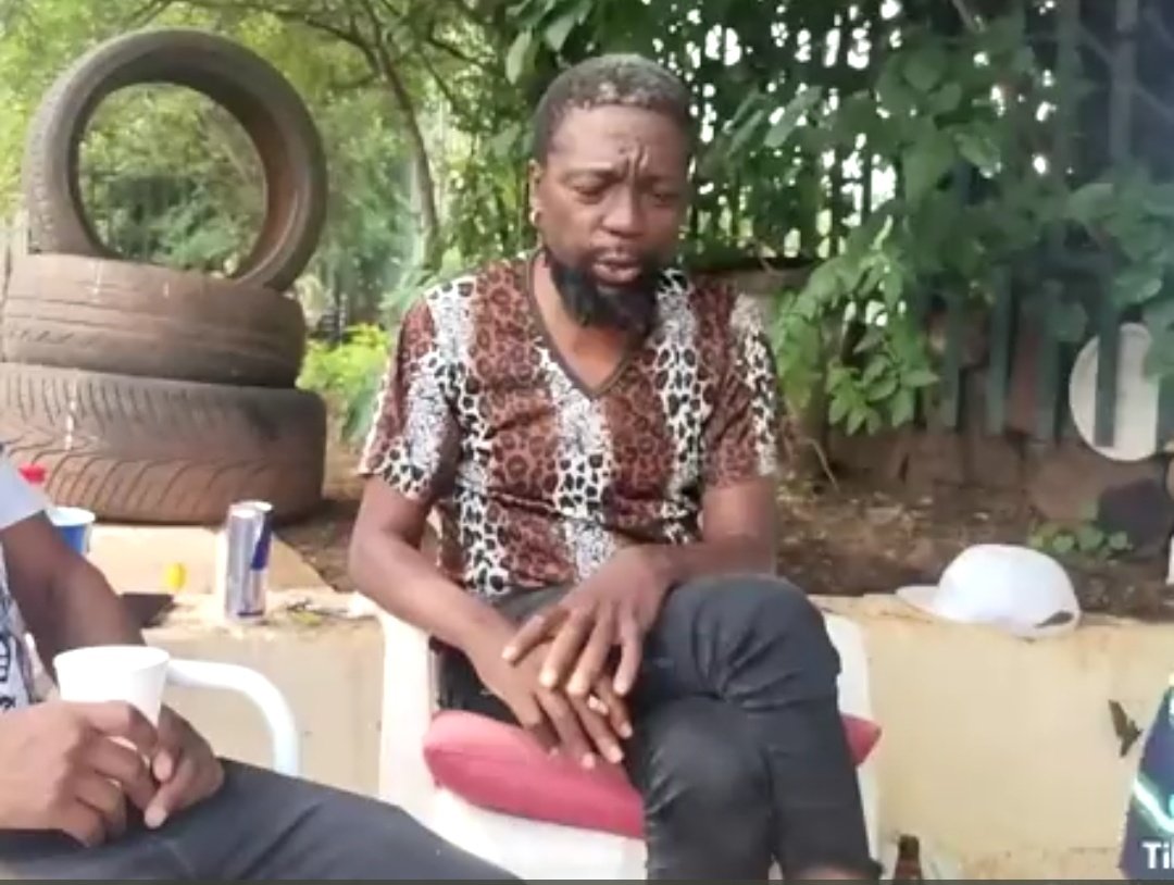 Zola 7