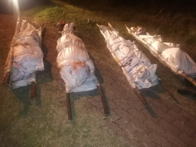 Sad scenes: Bodies found on the side of a road
