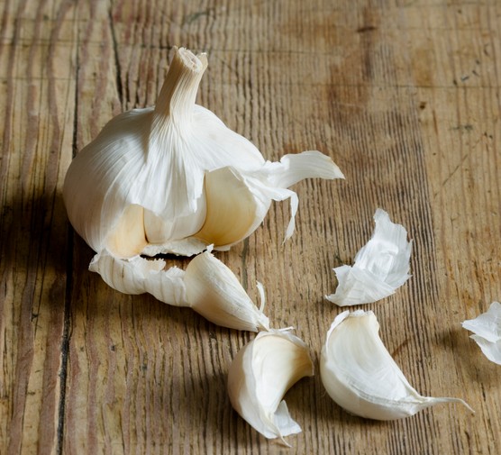 Garlic