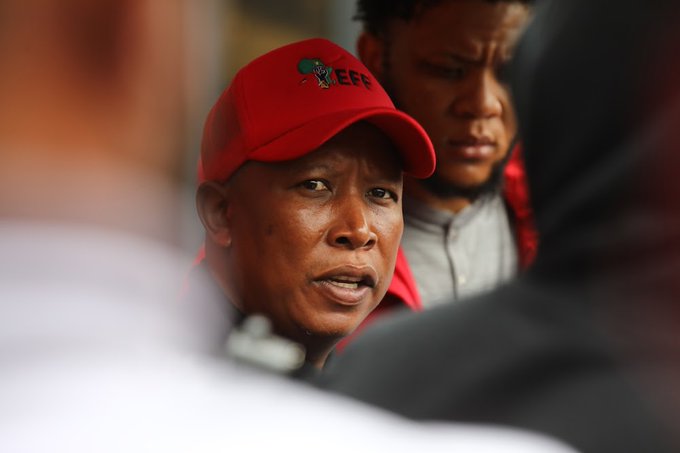 Julius Malema