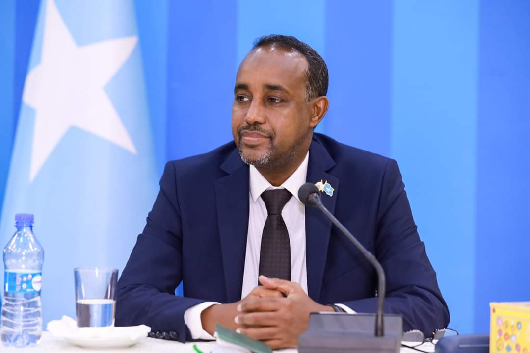Prime Minister Mohamed Hussein Roble.