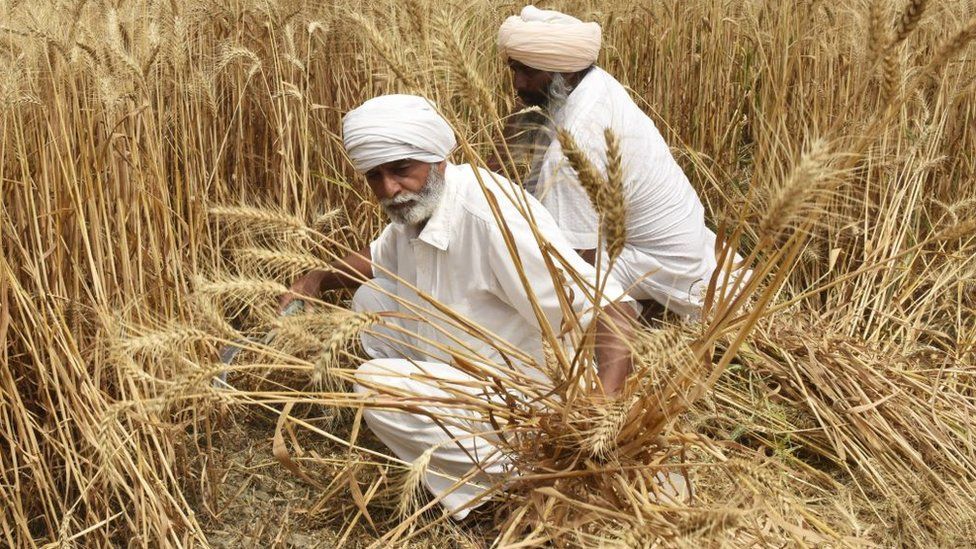 Indian export ban