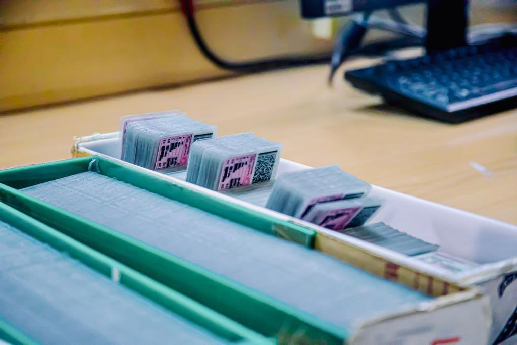 driving licence cards