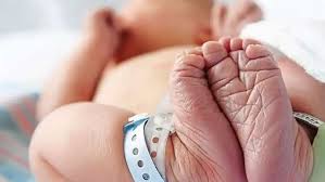 foetuses