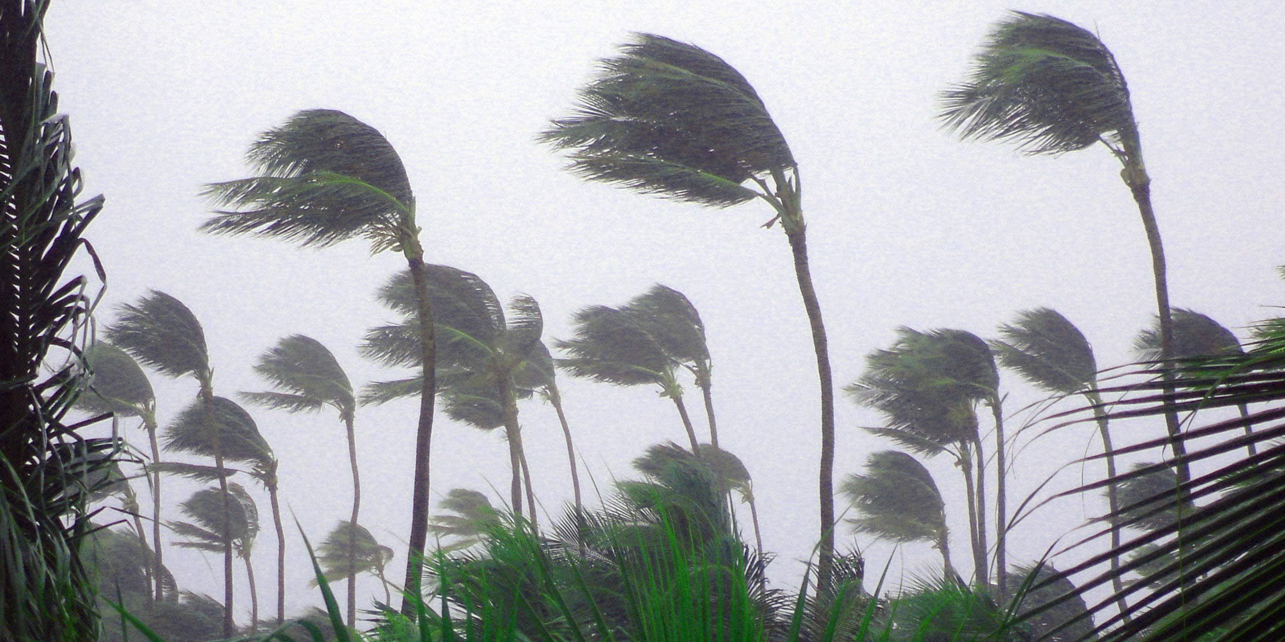 damaging winds