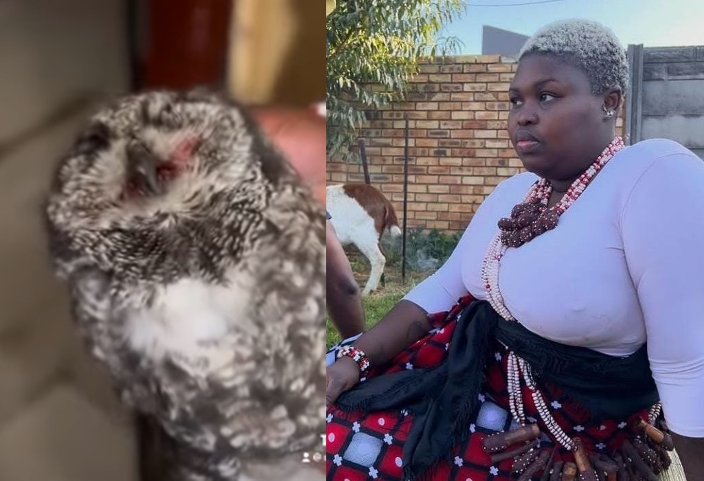 Gogo Maweni